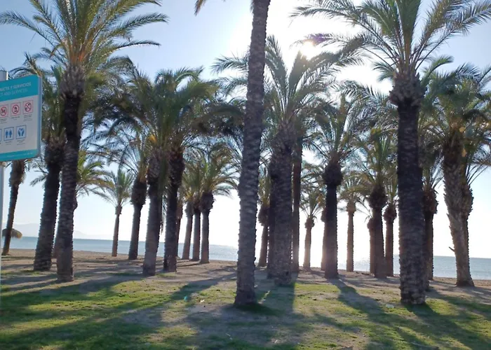 Salicia Alamos * Torremolinos