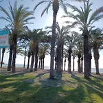 Salicia Alamos * טורמולינוס