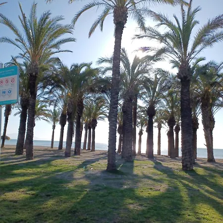 Salicia Alamos * Torremolinos